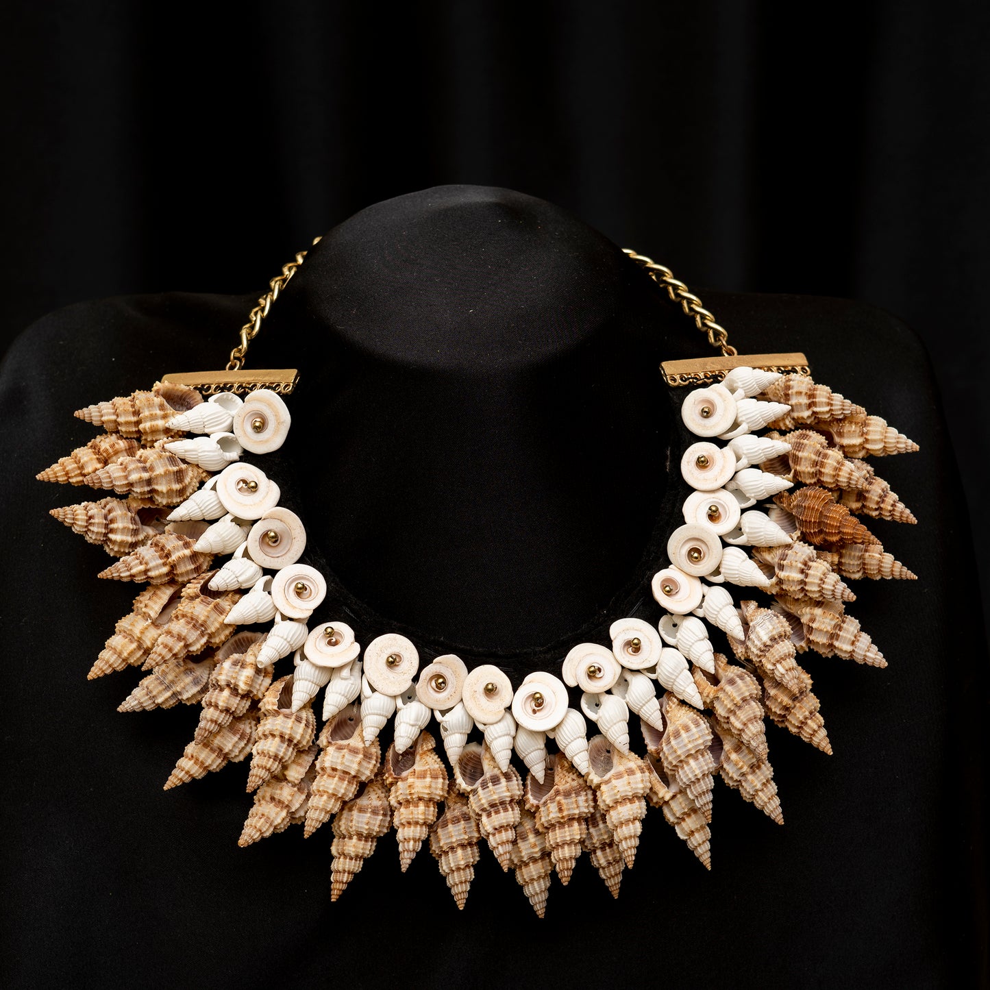 Sea Shells Necklace