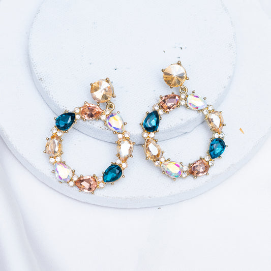 Multi Colored Earrings
