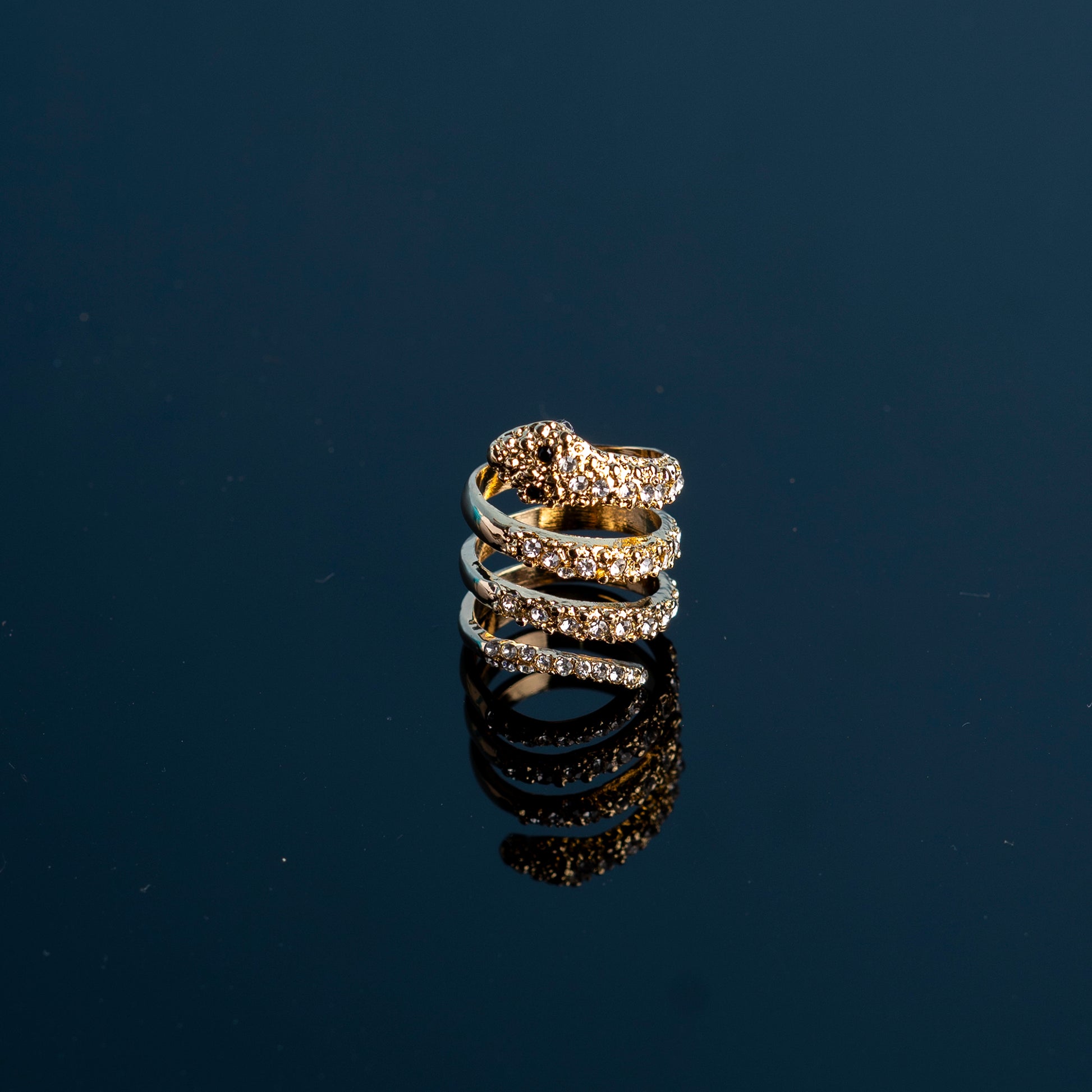 Snake Ring – Look Richie